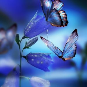 Meet your Posher, Ruby